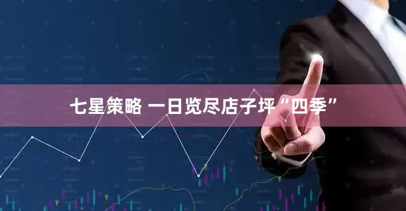 七星策略 一日览尽店子坪“四季”