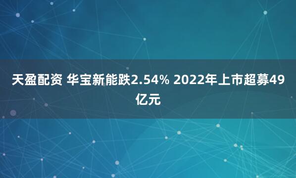 天盈配资 华宝新能跌2.54% 2022年上市超募49亿元